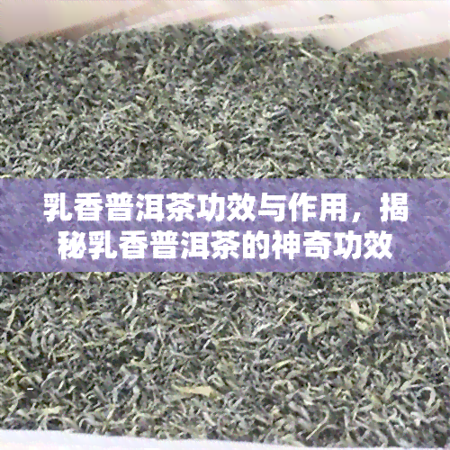 乳香普洱茶功效与作用，揭秘乳香普洱茶的神奇功效与作用！