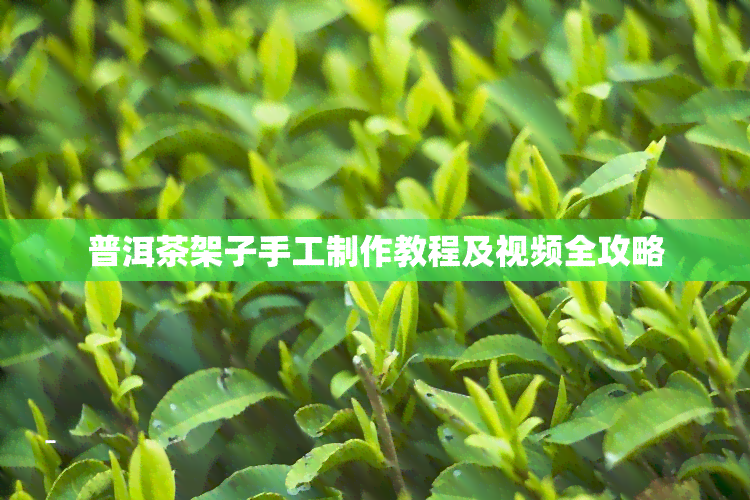 普洱茶架子手工制作教程及视频全攻略