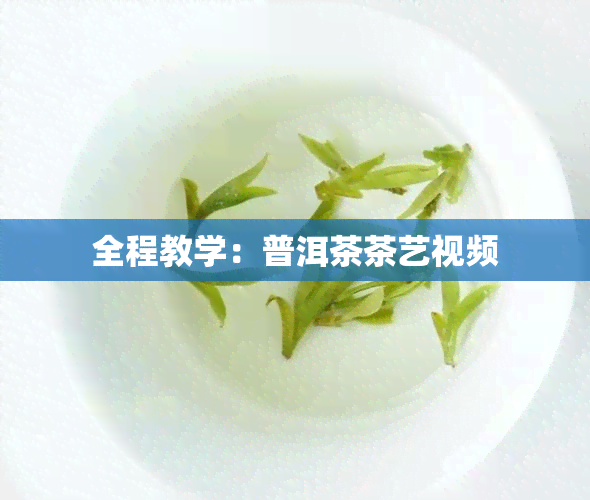 全程教学：普洱茶茶艺视频