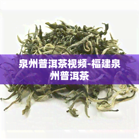 泉州普洱茶视频-福建泉州普洱茶