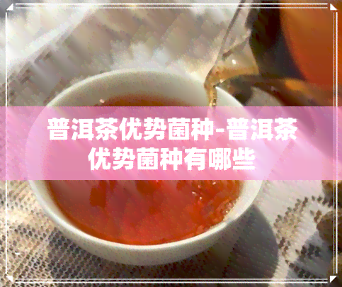 普洱茶优势菌种-普洱茶优势菌种有哪些