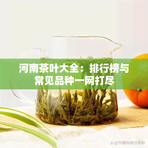 河南茶叶大全：排行榜与常见品种一网打尽