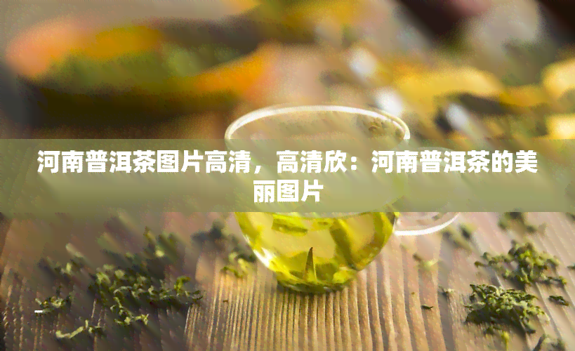 河南普洱茶图片高清，高清欣：河南普洱茶的美丽图片