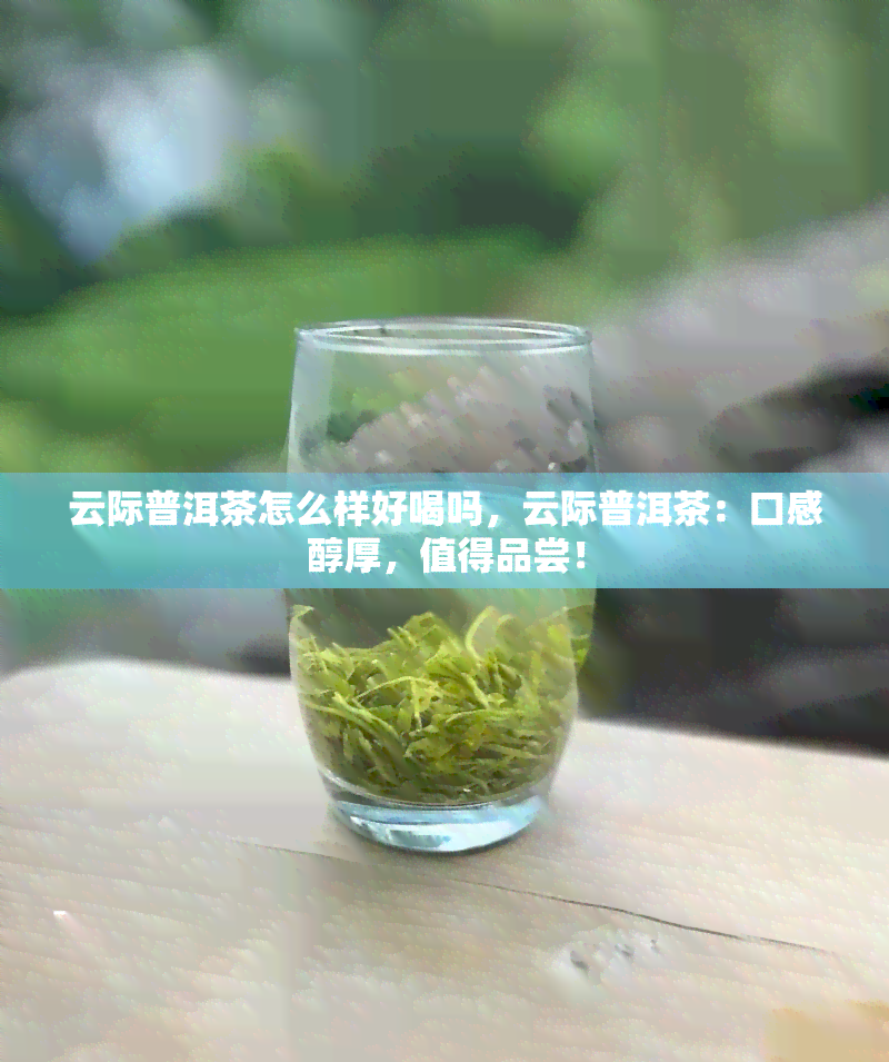 云际普洱茶怎么样好喝吗，云际普洱茶：口感醇厚，值得品尝！