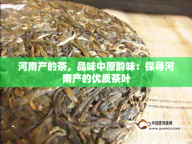 河南产的茶，品味中原韵味：探寻河南产的优质茶叶