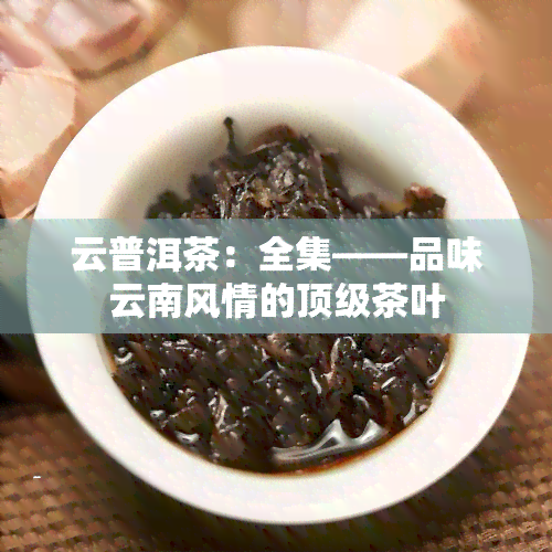 云普洱茶：全集——品味云南风情的顶级茶叶