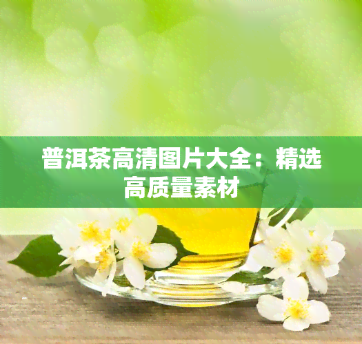 普洱茶高清图片大全：精选高质量素材