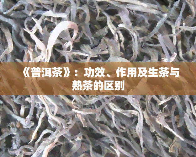 《普洱茶》：功效、作用及生茶与熟茶的区别