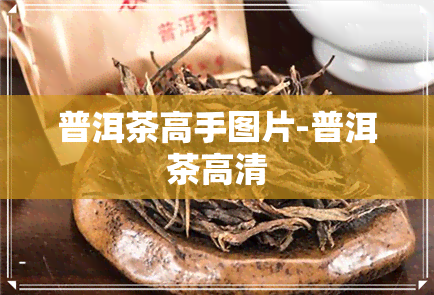 普洱茶高手图片-普洱茶高清