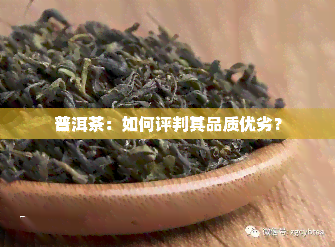 普洱茶：如何评判其品质优劣？