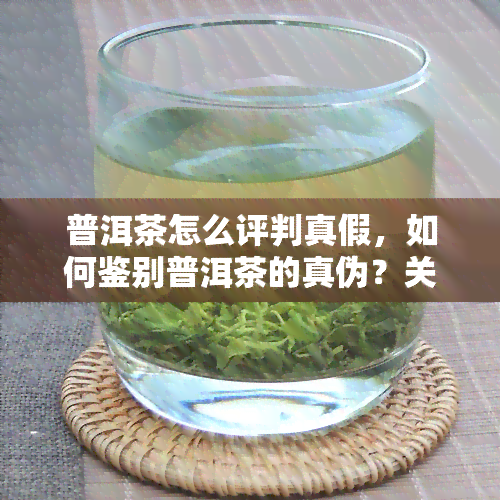 普洱茶怎么评判真假，如何鉴别普洱茶的真伪？关键点解析