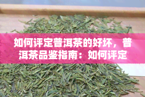 如何评定普洱茶的好坏，普洱茶品鉴指南：如何评定其好坏？