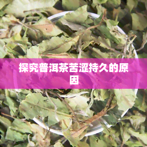 探究普洱茶苦涩持久的原因