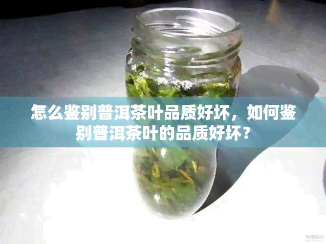 怎么鉴别普洱茶叶品质好坏，如何鉴别普洱茶叶的品质好坏？