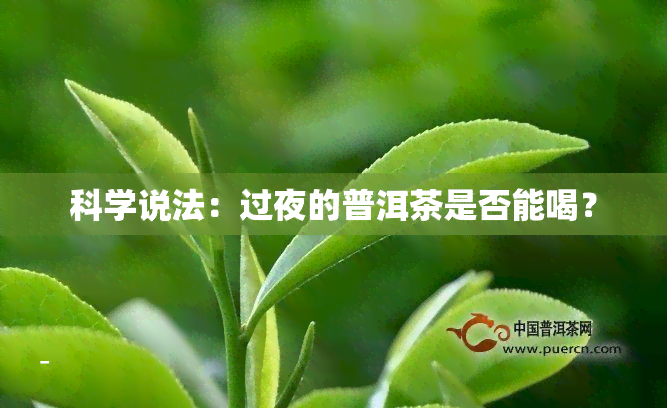 科学说法：过夜的普洱茶是否能喝？