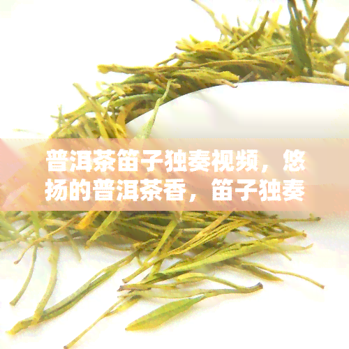 普洱茶笛子独奏视频，悠扬的普洱茶香，笛子独奏视频欣