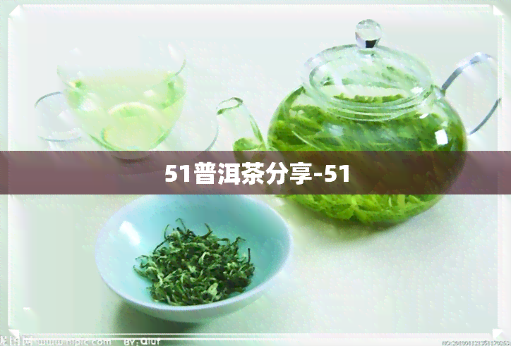 51普洱茶分享-51