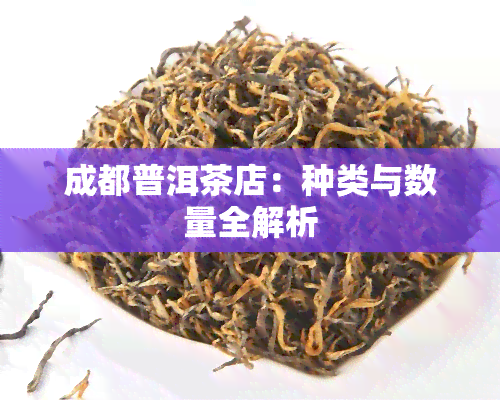 成都普洱茶店：种类与数量全解析