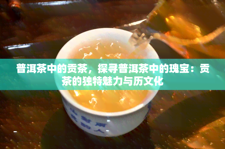 普洱茶中的贡茶，探寻普洱茶中的瑰宝：贡茶的独特魅力与历文化