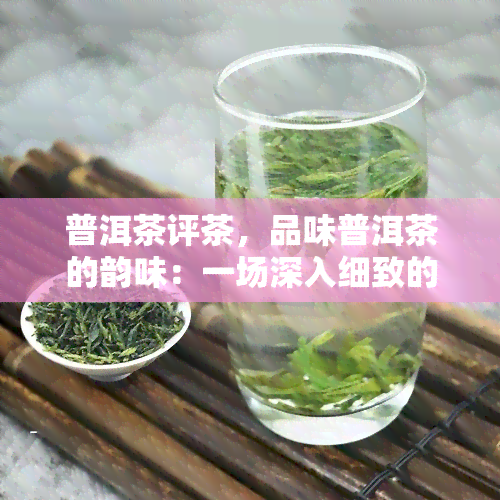 普洱茶评茶，品味普洱茶的韵味：一场深入细致的评茶之旅