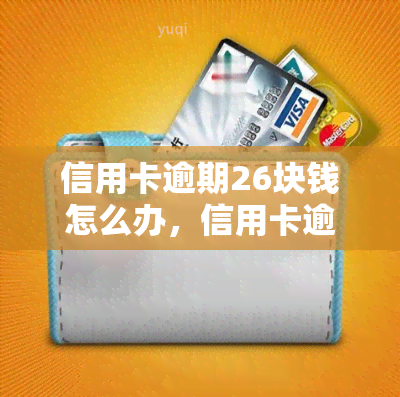 信用卡逾期26块钱怎么办，信用卡逾期26元：小金额欠款的处理方法