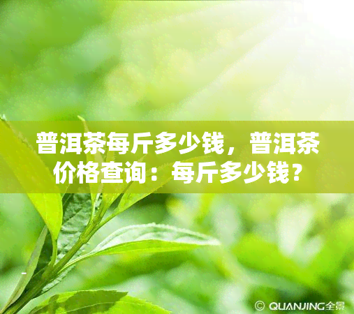 普洱茶每斤多少钱，普洱茶价格查询：每斤多少钱？