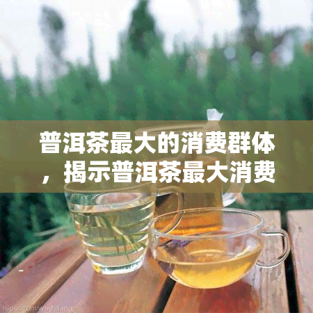 普洱茶更大的消费群体，揭示普洱茶更大消费群体：他们为何如此爱这种茶叶？