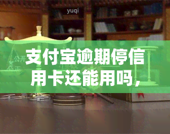 支付宝逾期停信用卡还能用吗，支付宝逾期导致信用卡被停用，还有其他支付方式可用吗？