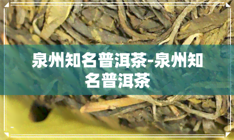 泉州知名普洱茶-泉州知名普洱茶