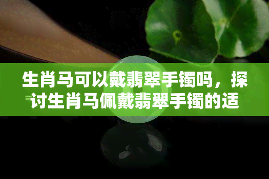 生肖马可以戴翡翠手镯吗，探讨生肖马佩戴翡翠手镯的适宜性