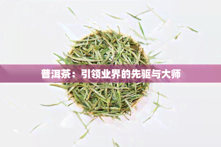 普洱茶：引领业界的先驱与大师