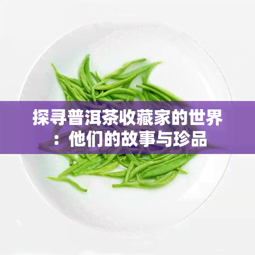 探寻普洱茶收藏家的世界：他们的故事与珍品