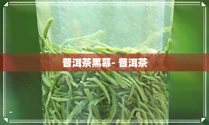 普洱茶黑幕- 普洱茶