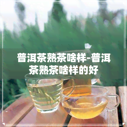 普洱茶熟茶啥样-普洱茶熟茶啥样的好