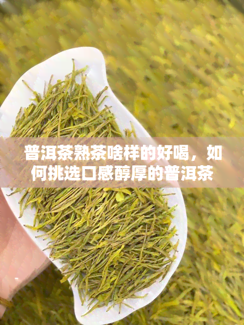 普洱茶熟茶啥样的好喝，如何挑选口感醇厚的普洱茶熟茶？