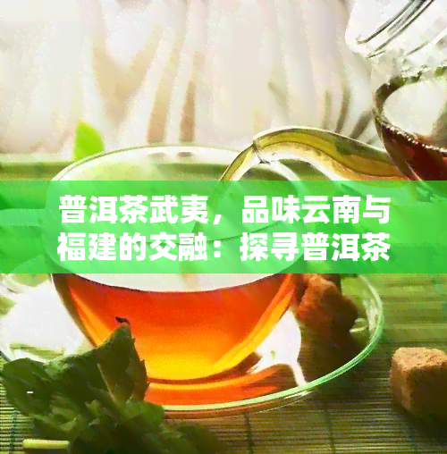 普洱茶武夷，品味云南与福建的交融：探寻普洱茶与武夷岩茶的魅力