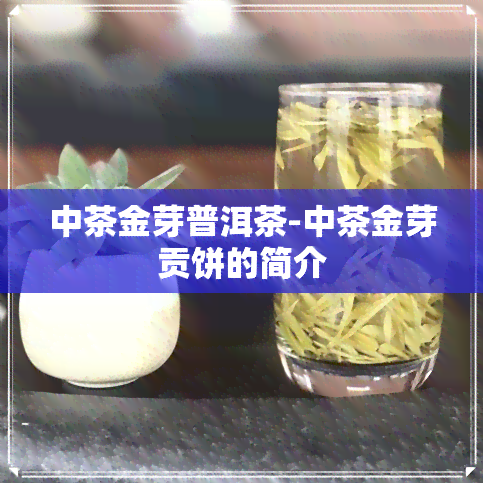 中茶金芽普洱茶-中茶金芽贡饼的简介