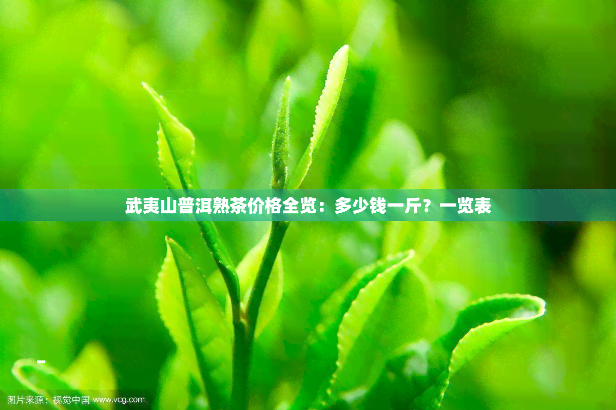 武夷山普洱熟茶价格全览：多少钱一斤？一览表