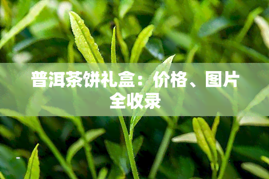 普洱茶饼礼盒：价格、图片全收录