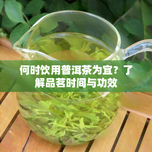 何时饮用普洱茶为宜？了解品茗时间与功效