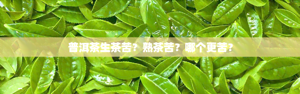 普洱茶生茶苦？熟茶苦？哪个更苦？