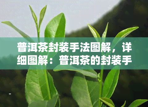 普洱茶封装手法图解，详细图解：普洱茶的封装手法