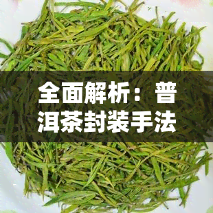 全面解析：普洱茶封装手法的种类与特点