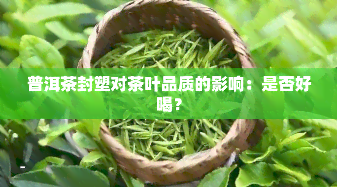 普洱茶封塑对茶叶品质的影响：是否好喝？