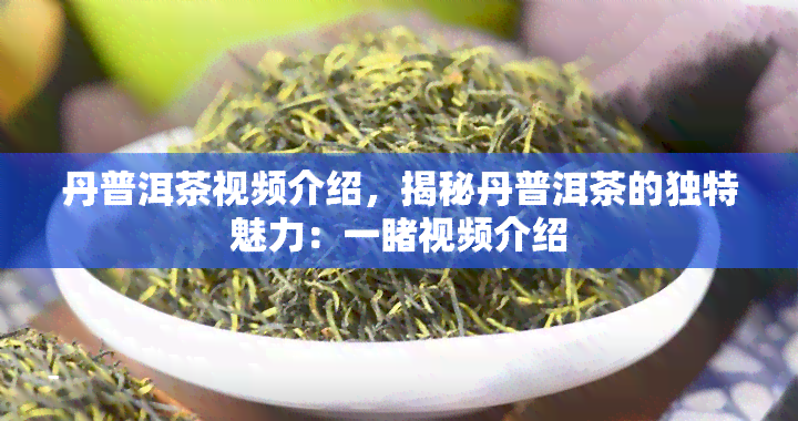 丹普洱茶视频介绍，揭秘丹普洱茶的独特魅力：一视频介绍