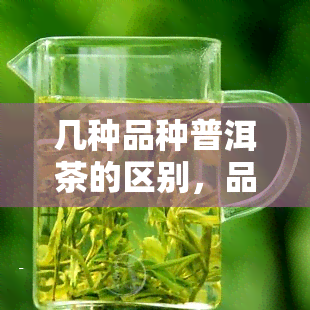 几种品种普洱茶的区别，品味独特：探索几种常见普洱茶品种的区别