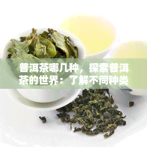 普洱茶哪几种，探索普洱茶的世界：了解不同种类的普洱茶