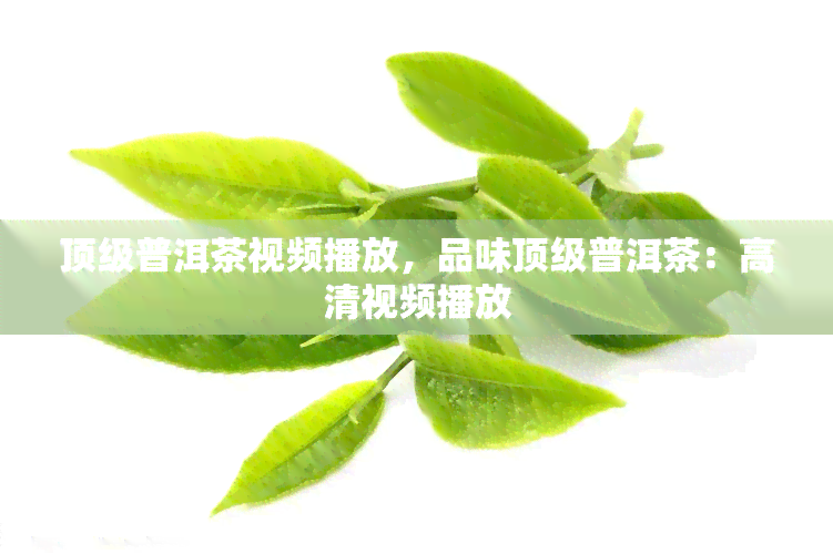 顶级普洱茶视频播放，品味顶级普洱茶：高清视频播放