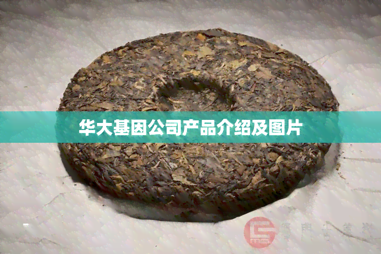 华大基因公司产品介绍及图片