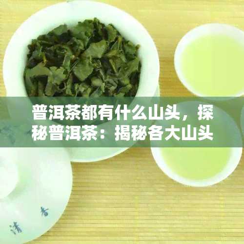 普洱茶都有什么山头，探秘普洱茶：揭秘各大山头的特色与韵味